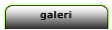 GaleriButton1